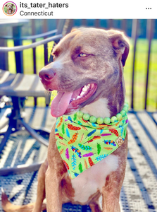 Palm Tree Breeze Ceramic Bead Collar