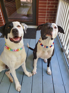 Americana Glam Bead Collar