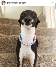 Load image into Gallery viewer, Unicorn XS Mermaid Pearl [Small Dog/Cat Bead Collar]