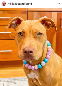 🟧 20.5" Slip On (Black O-Ring) Unicorn Glam Bead Collar - PRE-MADE/FINAL SALE