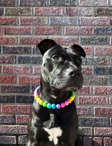 Tropical Rainbow Acrylic Bead Collar