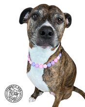 Load image into Gallery viewer, 🟧 18&quot; Slip On (Rose Gold O-Ring) Pretty Princess Acrylic Bead Collar - PRE-MADE/FINAL SALE