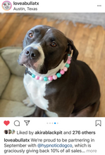 Load image into Gallery viewer, Cotton Candy Acrylic Bead Collar