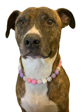 Load image into Gallery viewer, Princess Glitz MINI [Small Dog/Cat Bead Collar]