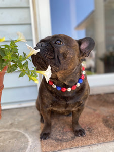 Sparkler 🎇 Bead Collar