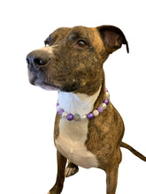 Load image into Gallery viewer, Purple Glitz Bead Collar
