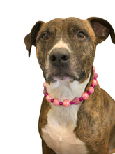 Load image into Gallery viewer, Pink Disco Bead Collar