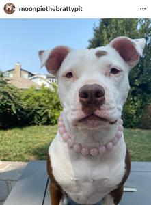Rose Quartz [Large] Semi-precious Gem Bead Collar