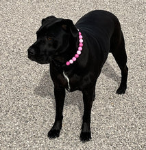 Load image into Gallery viewer, Pink Ombre Acrylic Bead Collar