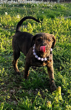 Load image into Gallery viewer, Lavender Rain Acrylic Bead Collar [Scuffed]