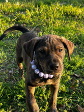 Load image into Gallery viewer, Lavender Rain Acrylic Bead Collar [Scuffed]