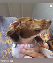 Load image into Gallery viewer, Princess Glitz MINI [Small Dog/Cat Bead Collar]
