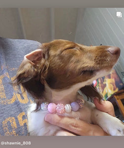Princess Glitz MINI [Small Dog/Cat Bead Collar]