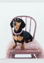 Load image into Gallery viewer, Mini Rose Pink Pearl [Small Dog/Cat Bead Collar]