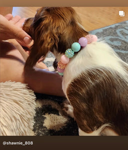 Sugar Crush MINI [Small Dog/Cat Bead Collar]