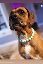 Load image into Gallery viewer, Mint Sky Acrylic Bead Collar