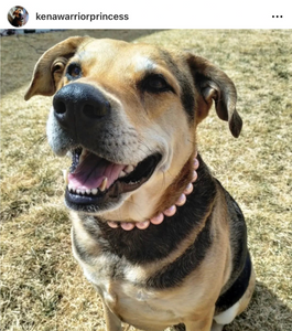 Peach Shine Acrylic Bead Collar