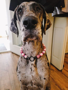 Pink Disco Bead Collar