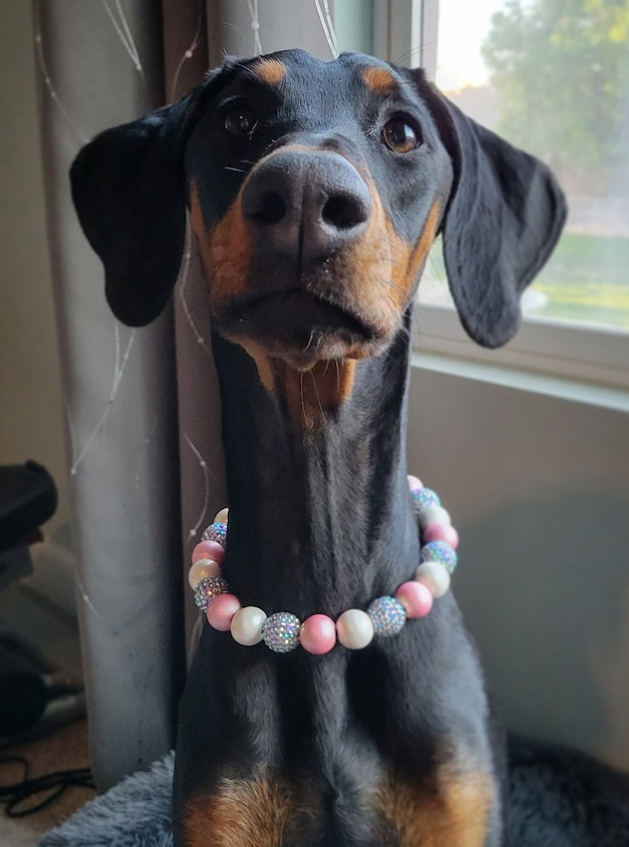 Pink Glitz Bead Collar Hypnotic Dog