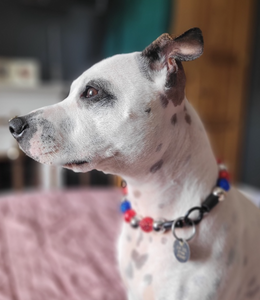 Sparkler 🎇 Bead Collar