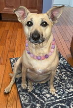 Load image into Gallery viewer, Duchess Glam Bead Collar