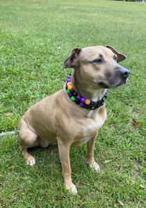 Witching Hour Halloween Bead Collar