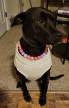 Load image into Gallery viewer, Pink Sugar Bead Collar
