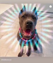 Load image into Gallery viewer, Unicorn Glam 🦄 Bead Collar