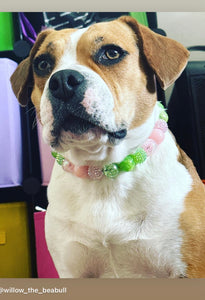 Watermelon Sugar Bead Collar