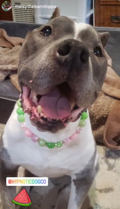 Watermelon Sugar Bead Collar