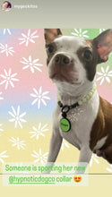 Load image into Gallery viewer, Green Glow in the Dark XS [Small Dog/Cat Bead Collar]