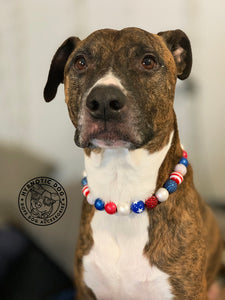 Americana Glam Bead Collar