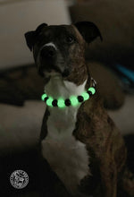 Load image into Gallery viewer, Black &amp; Glow Bead Collar