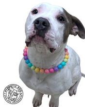 Load image into Gallery viewer, Boho Rainbow Acrylic Bead Collar