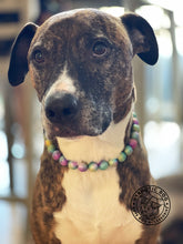 Load image into Gallery viewer, Rainbow Stardust Acrylic Bead Collar