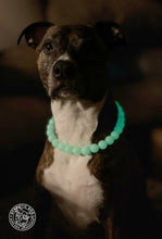Load image into Gallery viewer, Glow in the Dark Acrylic Bead Collar