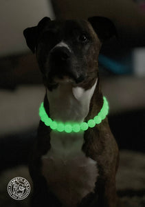 Glow in the Dark Acrylic Bead Collar