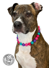 Load image into Gallery viewer, Hypnotic Dog Signature Acrylic Bead Collar
