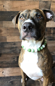 Green Tea Bead Collar