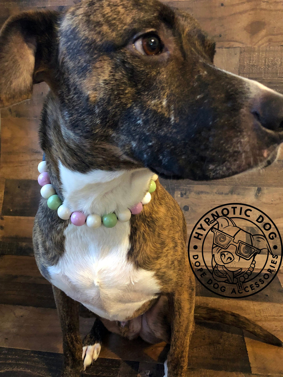 Minty Sweet Acrylic Bead Collar – Hypnotic Dog