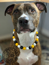Load image into Gallery viewer, Pittsburgh Steelers  NFL Inspired 🏈  Bead Collar