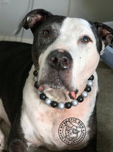 Load image into Gallery viewer, Las Vegas Raiders NFL Inspired 🏈 Bead Collar