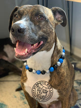 Load image into Gallery viewer, Carolina Panthers NFL Inspired 🏈 Bead Collar