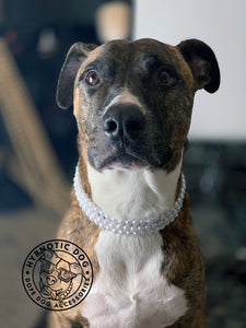 XS White Pearl Triplo Acrylic Bead Collar