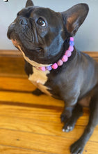 Load image into Gallery viewer, Pink Sugar Bead Collar