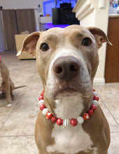 Load image into Gallery viewer, 🟧 21" Slip On (Black O-Ring) Valentine's Signature Bead Collar - PRE-MADE/FINAL SALE