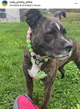 Load image into Gallery viewer, Watermelon Sugar Bead Collar