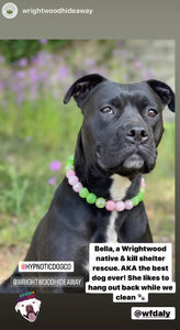 Watermelon Sugar Bead Collar