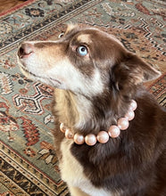 Load image into Gallery viewer, Chunky Blush Pink Pearls Acrylic Bead Collar