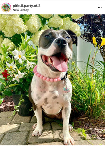 Pink Waves Resin Bead Collar